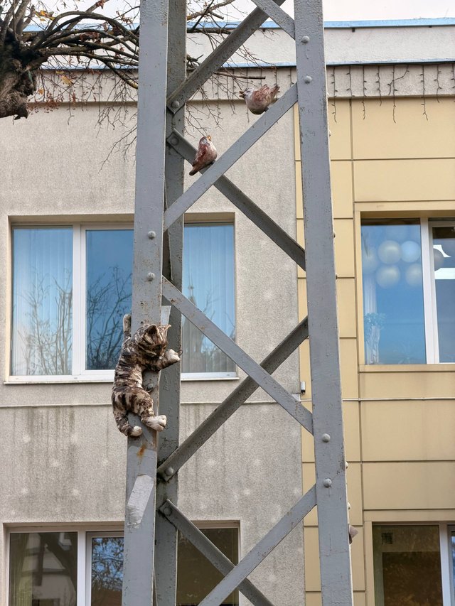 Куршская коса и Зеленоградск
