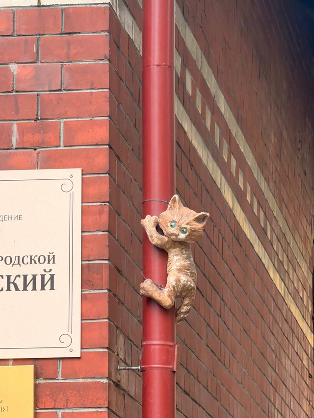 Куршская коса и Зеленоградск