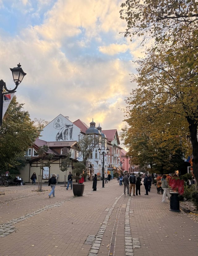Куршская коса и Зеленоградск