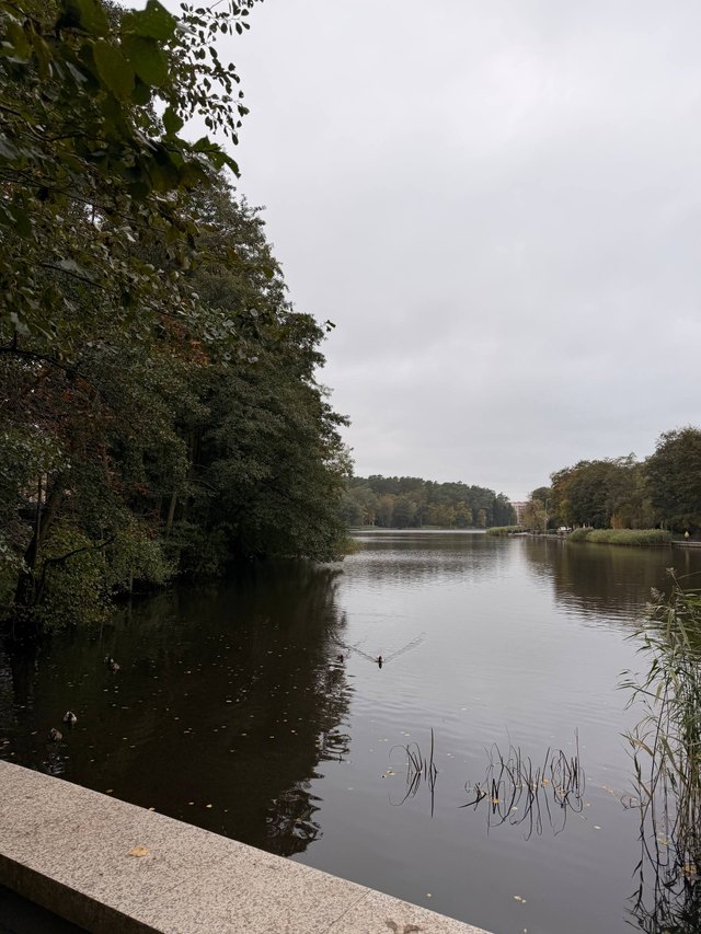 Светлогорск: старый Раушен у моря